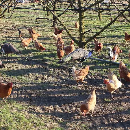 Agriturismo Perugini Cesena