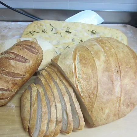 Bed & Breakfast Agriturismo Perugini