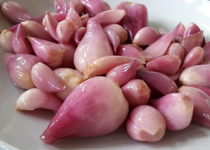 Couette-café Agriturismo Perugini Cesena